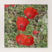 Corfu Red Poppies Jigsaw Puzzle (Horizontal)