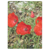 Corfu Red Poppies Klemmbrett (Rückseite)