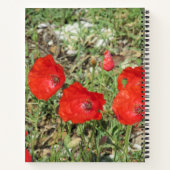 Corfu Red Poppies Notizblock (Rückseite)
