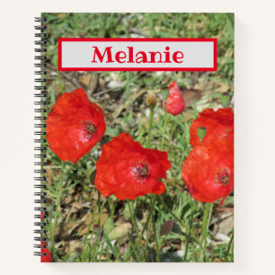 Corfu Red Poppies Notizblock