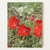 Corfu Red Poppies Planer (Rückseite)
