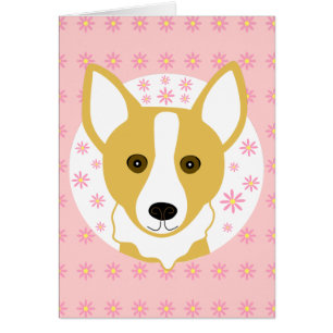 Corgi