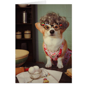 Corgi-alles Gute zum Geburtstag