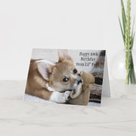 Corgi Birthday wünschcard Karte