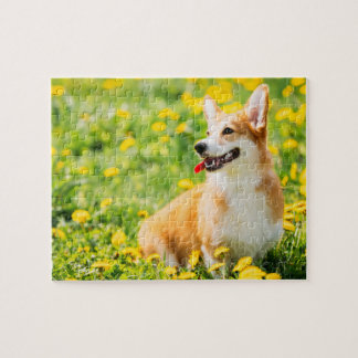 Corgi Blume Puzzle