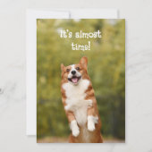 Corgi Bubbles Welcome Student Message Card Einladung (Vorderseite)