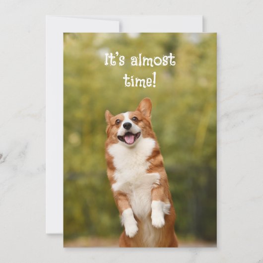 Corgi Bubbles Welcome Student Message Card Einladung (Vorderseite)