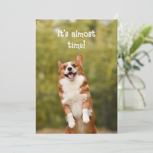 Corgi Bubbles Welcome Student Message Card Einladung (Stehend Vorderseite)
