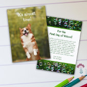 Corgi Bubbles Welcome Student Message Card Einladung