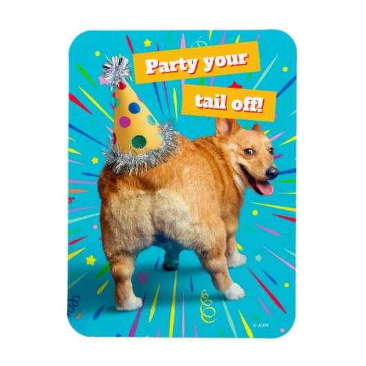 Corgi Butt Birthday Hat Magnet (Vertikal)