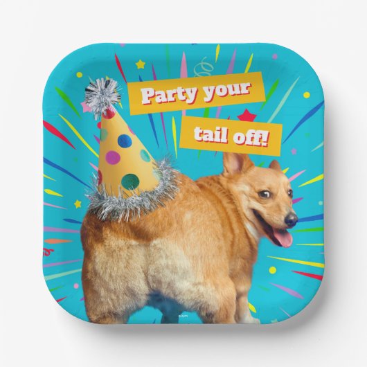 Corgi Butt Birthday Hat Pappteller (Vorderseite)