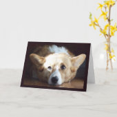 Corgi Card Karte (Gelbe Blume)