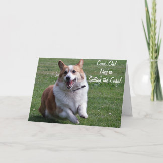 Corgi Card Karte