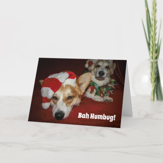 Corgi Christmas Card Karte (Vorderseite)
