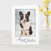 Corgi Christmas Karte (Gelbe Blume)