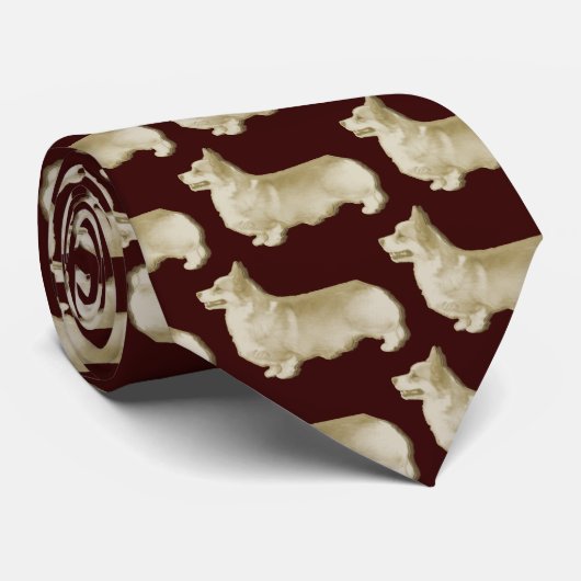 Corgi-Couturen I Krawatte (Gerollt)