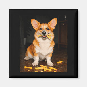 Corgi, der Pommes isst, Hundememe, Welpenliebhaber Magnet