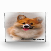 Corgi Dog. Fotoblock (Vorderseite)