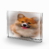 Corgi Dog. Fotoblock (Rechts)