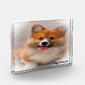 Corgi Dog. Fotoblock (Links)