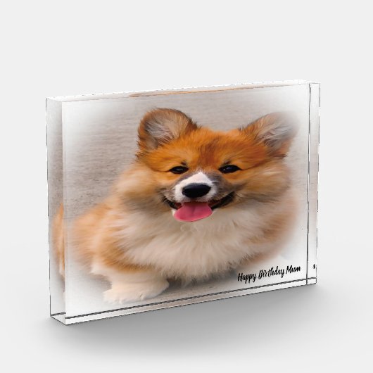 Corgi Dog. Fotoblock (Links)