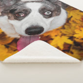 Corgi Dog Geschenke| Corgi Dog Sherpadecke (3/4)