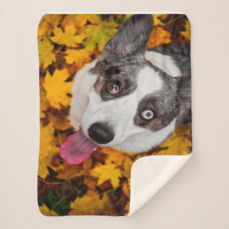 Corgi Dog Geschenke| Corgi Dog Sherpadecke