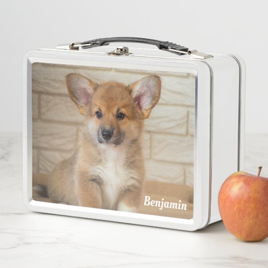 Corgi Dog Metall Brotdose (Beispiel)