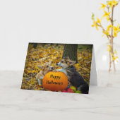 Corgi Dog Pumpkin Autumn Foto Halloween Karte (Gelbe Blume)