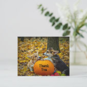 Corgi Dog Pumpkin Herbst Foto Vielen Dank Postkarte (Stehend Vorderseite)