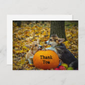 Corgi Dog Pumpkin Herbst Foto Vielen Dank Postkarte (Vorne/Hinten)