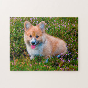 Corgi Dog. Puzzle