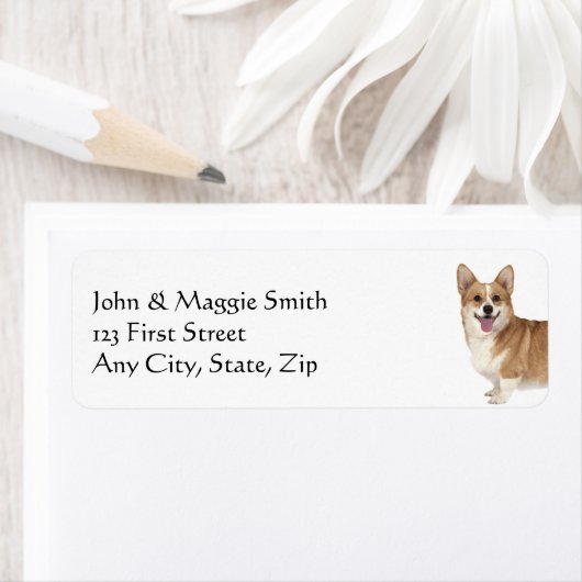 Corgi Dog Tier (Insitu)