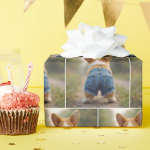 Corgi Dog Wearing Denim Shorts Geschenkpapier