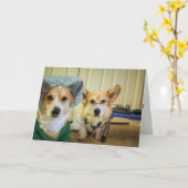 Corgi Dr. and Nurse kümmern sich um ein besseres G Karte (Gelbe Blume)