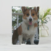 Corgi-Einladung Einladung (Stehend Vorderseite)