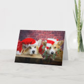 Corgi Elf Weihnachtskarte Karte (Vorderseite)