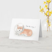 Corgi erhalten wohle bald Karte (Gelbe Blume)
