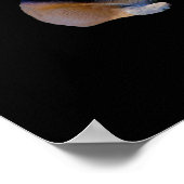 Corgi & Fairy - Funny Pembroke Welsh Corgi Poster (Ecke)