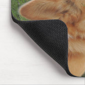 Corgi-feenhafter Jäger Mousepad (Ecke)