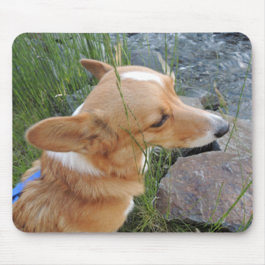 Corgi-feenhafter Jäger Mousepad (Vorne)