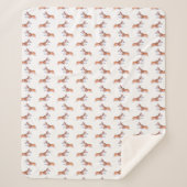 Corgi-Flugeruch Sherpadecke (Vorderseite)