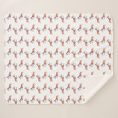 Corgi-Flugeruch Sherpadecke (Vorderseite (Horizontal))