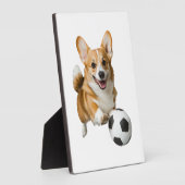 Corgi Fotoplatte (Seite)