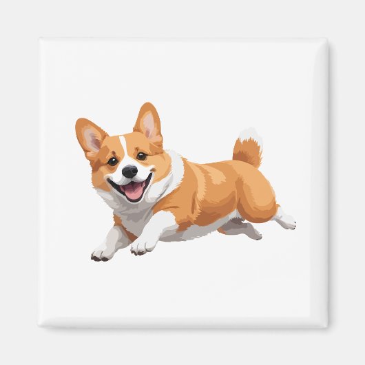 Corgi glücklich spielerischer Spaß springen in der Magnet (Vorne)