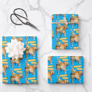 Corgi Hintern Geburtstagshut Geschenkpapier Set