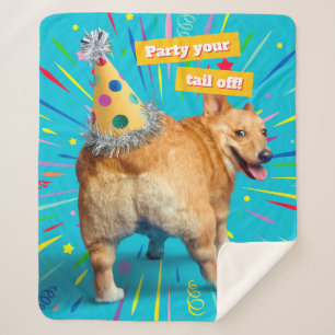 Corgi-Hintern-Geburtstagshut Sherpadecke