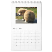 Corgi-Hintern-Kalender 2018 Kalender (Feb 2027)