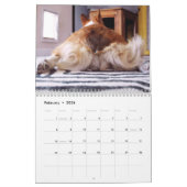 Corgi Hinterns & Friends Wall Calendar 2012 Kalender (Feb 2026)
