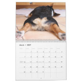 Corgi Hinterns & Friends Wall Calendar 2012 Kalender (Mär 2027)